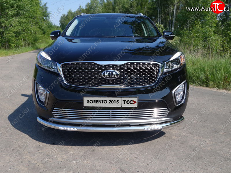 7 699 р. Декоративная вставка решетки радиатора ТСС Тюнинг  KIA Sorento  UM/Prime (2014-2018) дорестайлинг (d 12 мм)  с доставкой в г. Новочеркасск