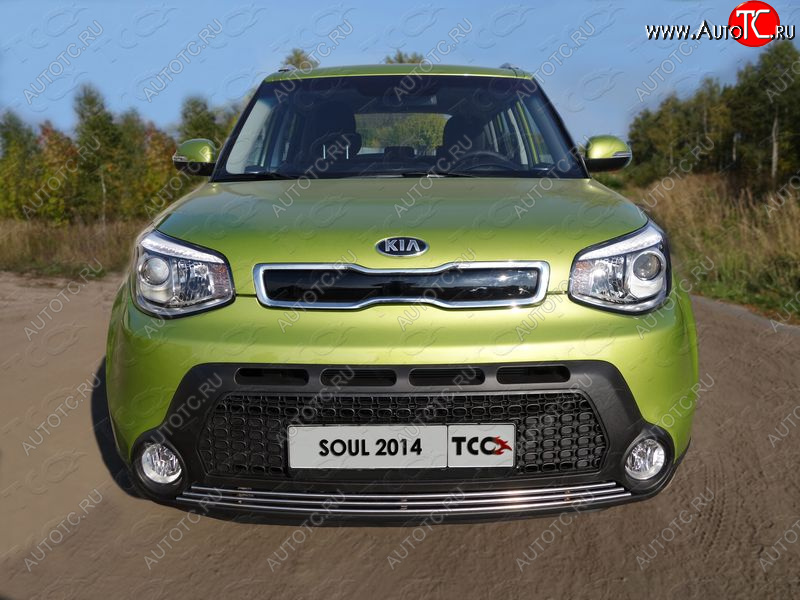 2 339 р. Нижняя декоративная вставка в бампер ТСС Тюнинг  KIA Soul  PS (2014-2016) дорестайлинг (d 12 мм)  с доставкой в г. Новочеркасск