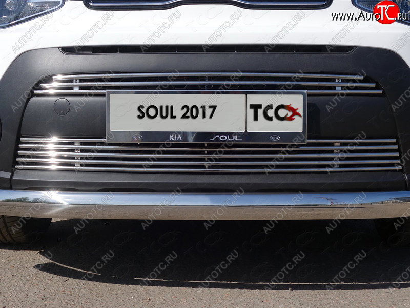 7 699 р. Нижняя декоративная вставка в бампер ТСС Тюнинг KIA Soul PS рестайлинг (2017-2019) (d 12 мм)  с доставкой в г. Новочеркасск