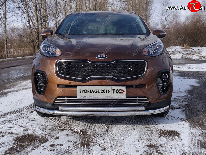 6 099 р. Декоративная вставка решетки радиатора ТСС Тюнинг  KIA Sportage  4 QL (2016-2018) дорестайлинг (d 12 мм)  с доставкой в г. Новочеркасск