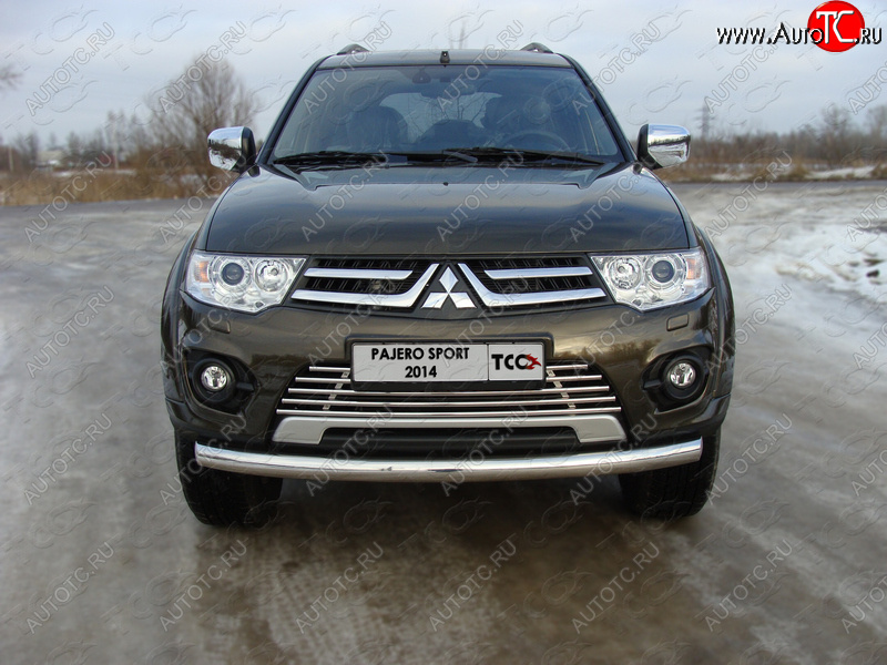 9 349 р. Декоративная вставка решетки радиатора ТСС Тюнинг  Mitsubishi Pajero Sport  PB (2013-2017) рестайлинг (d 16 мм)  с доставкой в г. Новочеркасск