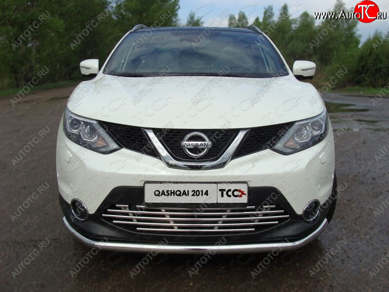 9 349 р. Декоративная вставка решетки радиатора ТСС Тюнинг  Nissan Qashqai  2 (2013-2019) J11 дорестайлинг (d 16 мм)  с доставкой в г. Новочеркасск