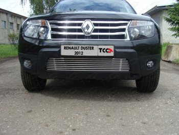 Декоративная вставка решетки радиатора ТСС Тюнинг Renault (Рено) Duster (Дастер)  HS (2010-2015) HS дорестайлинг ()