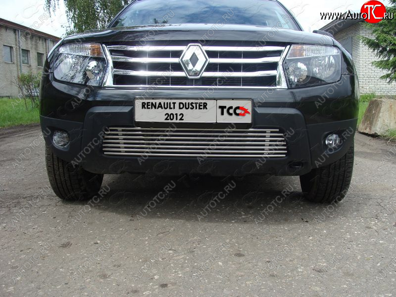 7 699 р. Декоративная вставка решетки радиатора ТСС Тюнинг  Renault Duster  HS (2010-2015) дорестайлинг (d 12 мм)  с доставкой в г. Новочеркасск