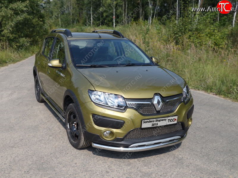 14 699 р. Защита переднего бампера нижняя d60,3 мм ТСС Тюнинг  Renault Sandero Stepway  (B8) (2014-2018) дорестайлинг (нержавейка)  с доставкой в г. Новочеркасск