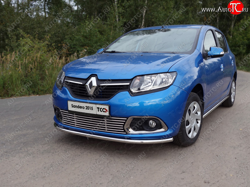 9 349 р. Нижняя декоративная вставка в бампер ТСС Тюнинг  Renault Sandero  (B8) (2014-2018) дорестайлинг (d 12 мм)  с доставкой в г. Новочеркасск