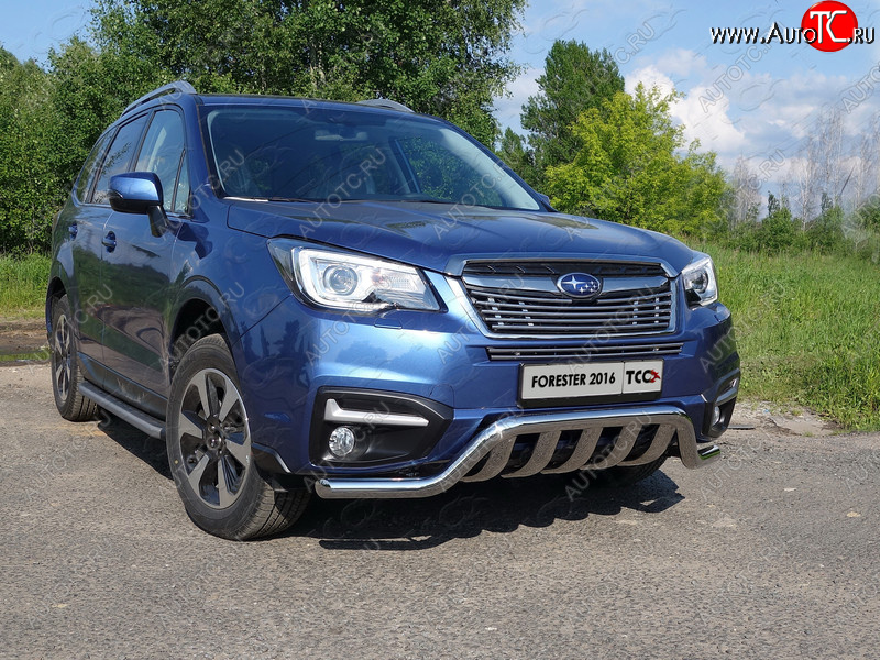 9 349 р. Верхняя декоративная вставка решетки радиатора ТСС Тюнинг  Subaru Forester  SJ (2016-2019) рестайлинг (d 12 мм)  с доставкой в г. Новочеркасск