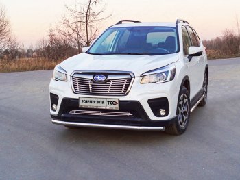 Защита переднего бампера нижняя d60,3 мм ТСС Тюнинг Subaru Forester SK/S14 дорестайлинг (2018-2021)  (нержавейка)