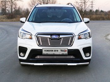 40 649 р. Защита переднего бампера нижняя с ДХО 60,3 мм ТСС Тюнинг Subaru Forester SK/S14 дорестайлинг (2018-2021) (нержавейка)  с доставкой в г. Новочеркасск. Увеличить фотографию 1