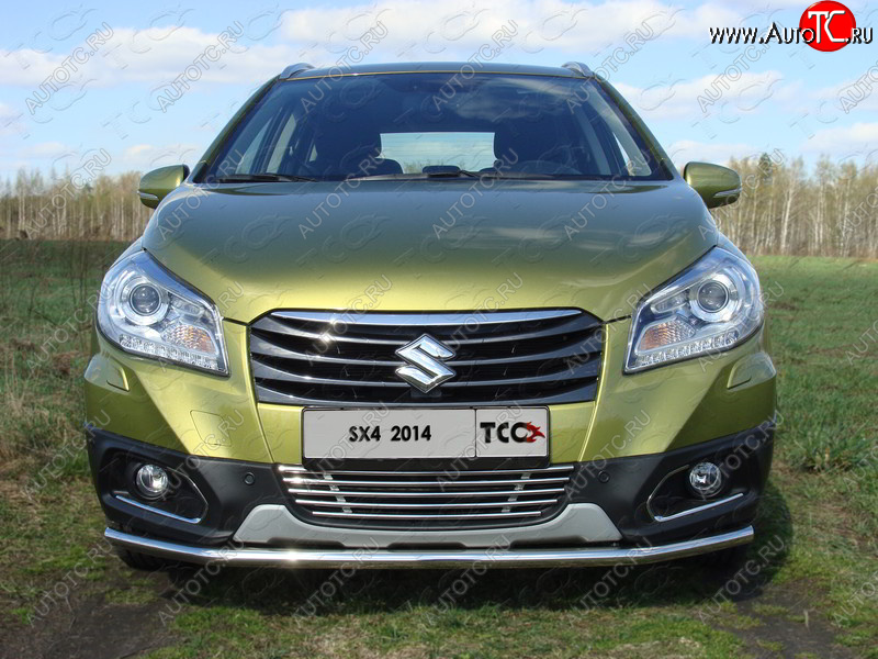 6 099 р. Декоративная вставка решетки радиатора ТСС Тюнинг  Suzuki SX4  JYB, JYA (2013-2016) хэтчбэк дорестайлинг (d 12 мм)  с доставкой в г. Новочеркасск