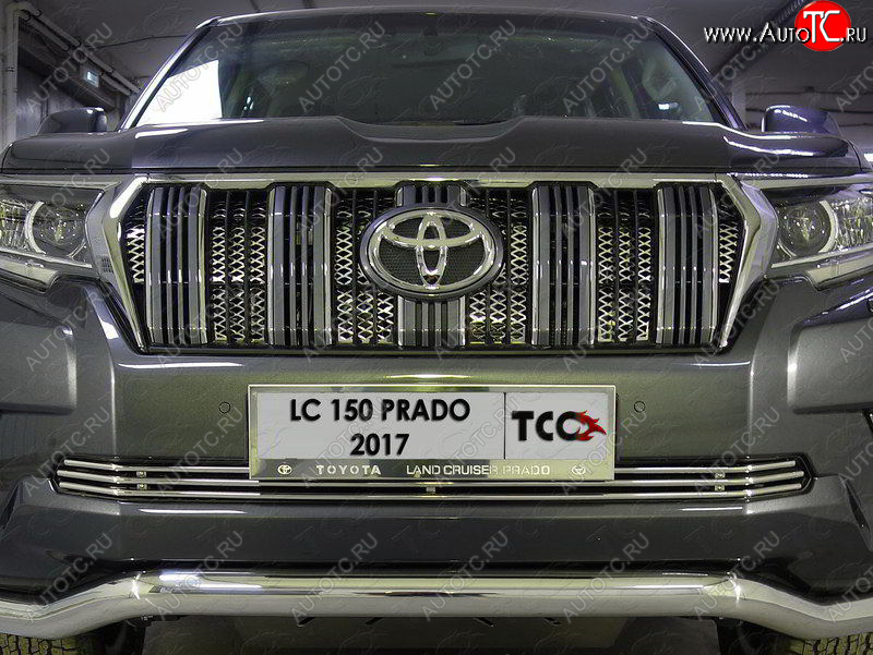 7 699 р. Нижняя декоративная вставка в бампер ТСС Тюнинг  Toyota Land Cruiser Prado  J150 (2017-2020) 2-ой рестайлинг (d 12 мм)  с доставкой в г. Новочеркасск