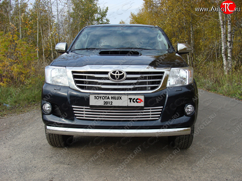 12 299 р. Декоративная вставка решетки радиатора ТСС Тюнинг  Toyota Hilux  AN20,AN30 (2011-2016)  2-ой рестайлинг (d 16 мм)  с доставкой в г. Новочеркасск