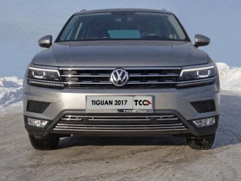 Нижняя декоративная вставка в бампер (пакет Offroad) ТСС Тюнинг Volkswagen Tiguan Mk2 дорестайлинг (2016-2020) ()