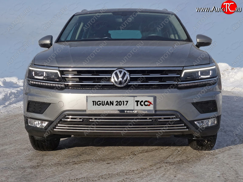 7 699 р. Нижняя декоративная вставка в бампер (пакет Offroad) ТСС Тюнинг  Volkswagen Tiguan  Mk2 (2016-2020) дорестайлинг (d 16 мм)  с доставкой в г. Новочеркасск