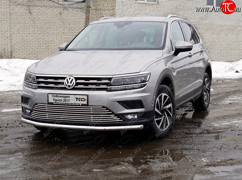 18 449 р. Защита переднего бампера нижняя d60,3 мм ТСС Тюнинг Volkswagen Tiguan Mk2 дорестайлинг (2016-2020) (нержавейка)  с доставкой в г. Новочеркасск