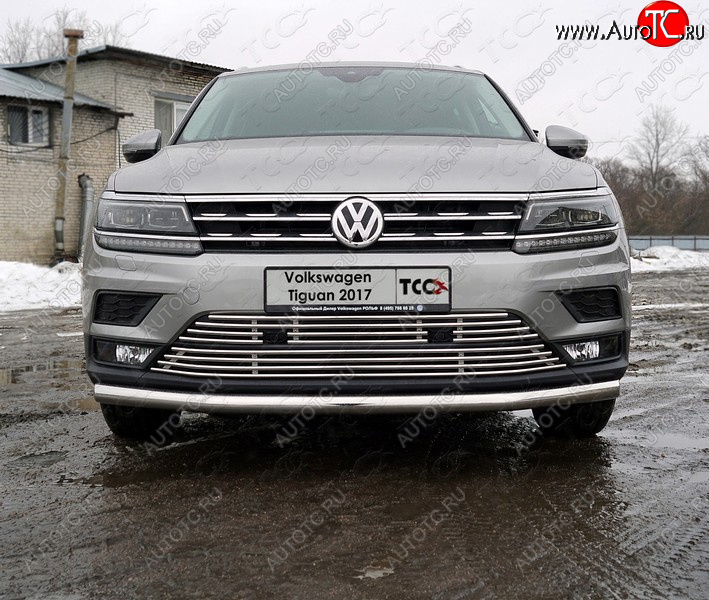 6 499 р. Верхняя декоративная вставка решетки радиатора ТСС Тюнинг  Volkswagen Tiguan  Mk2 (2016-2020) дорестайлинг (d 12 мм)  с доставкой в г. Новочеркасск