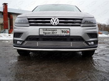 Нижняя декоративная вставка в бампер ТСС Тюнинг Volkswagen Tiguan Mk2 дорестайлинг (2016-2020) ()