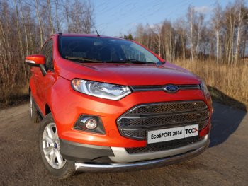 Защита переднего бампера нижняя овальная 75х42 мм ТСС Тюнинг Ford EcoSport дорестайлинг (2013-2019)  (нержавейка)