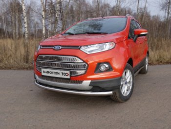 Защита переднего бампера нижняя d60,3 мм ТСС Тюнинг Ford (Форд) EcoSport (ЭкоСпорт) (2013-2019) дорестайлинг  (нержавейка)