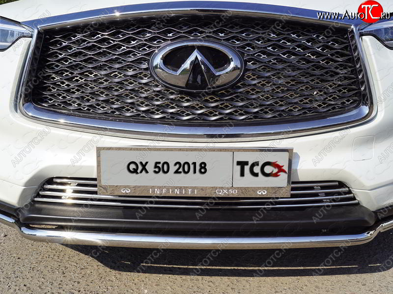 6 449 р. Рамка гос. номера ТСС Тюнинг INFINITI Qx50 J55 (2017-2022) (нержавейка)  с доставкой в г. Новочеркасск