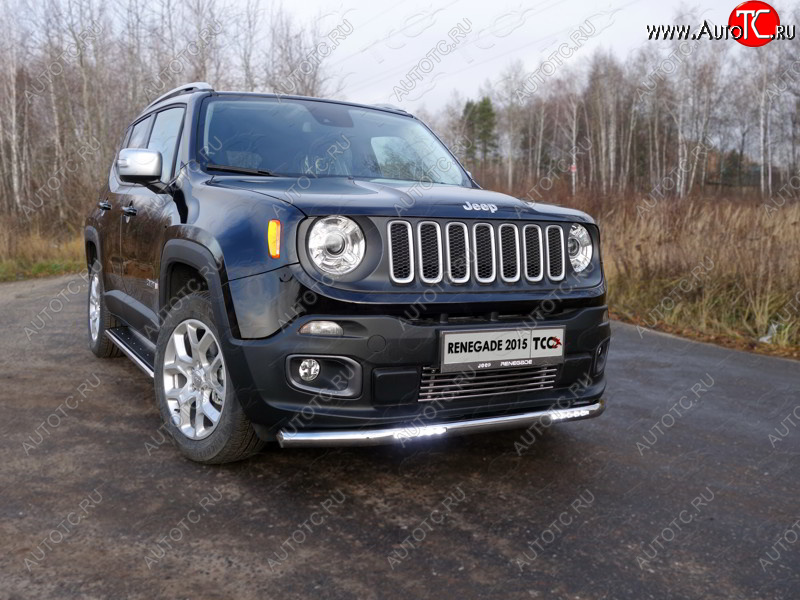 6 449 р. Рамка гос. номера ТСС Тюнинг Jeep Renegade (2015-2025) (нержавейка)  с доставкой в г. Новочеркасск