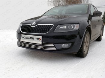 6 249 р. Рамка гос. номера ТСС Тюнинг Skoda Octavia A7 дорестайлинг универсал (2012-2017) (нержавейка)  с доставкой в г. Новочеркасск. Увеличить фотографию 1