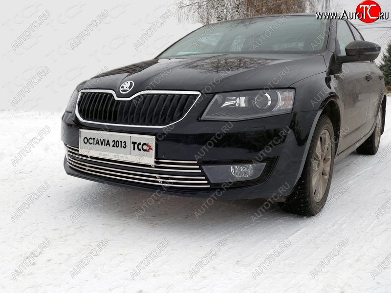 6 249 р. Рамка гос. номера ТСС Тюнинг Skoda Octavia A7 дорестайлинг лифтбэк (2012-2017) (нержавейка)  с доставкой в г. Новочеркасск