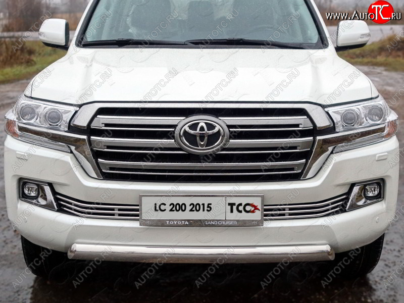 6 249 р. Рамка гос. номера ТСС Тюнинг Toyota Land Cruiser 200 2-ой рестайлинг (2015-2021) (нержавейка)  с доставкой в г. Новочеркасск