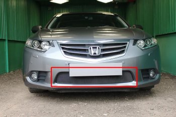 Защитная сетка в бампер (низ, ячейка 3х7 мм) Alfeco Стандарт Honda (Хонда) Accord (Аккорд) ( CU,  CW) (2011-2013) CU, CW седан рестайлинг, универсал рестайлинг