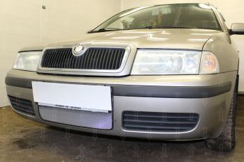 2 669 р. Защита радиатора Стрелка11 Стандарт  Skoda Octavia ( Tour A4 1U2,  Tour A4 1U5) (2000-2010) лифтбэк рестайлинг, универсал рестайлинг (хром)  с доставкой в г. Новочеркасск. Увеличить фотографию 1