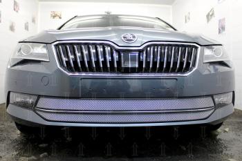 4 799 р. Защита радиатора (2 части) Стрелка11 Стандарт  Skoda Superb ( B8 (3V),  B8 (3V5)) (2015-2019) лифтбэк дорестайлинг, универсал дорестайлинг (хром)  с доставкой в г. Новочеркасск. Увеличить фотографию 2