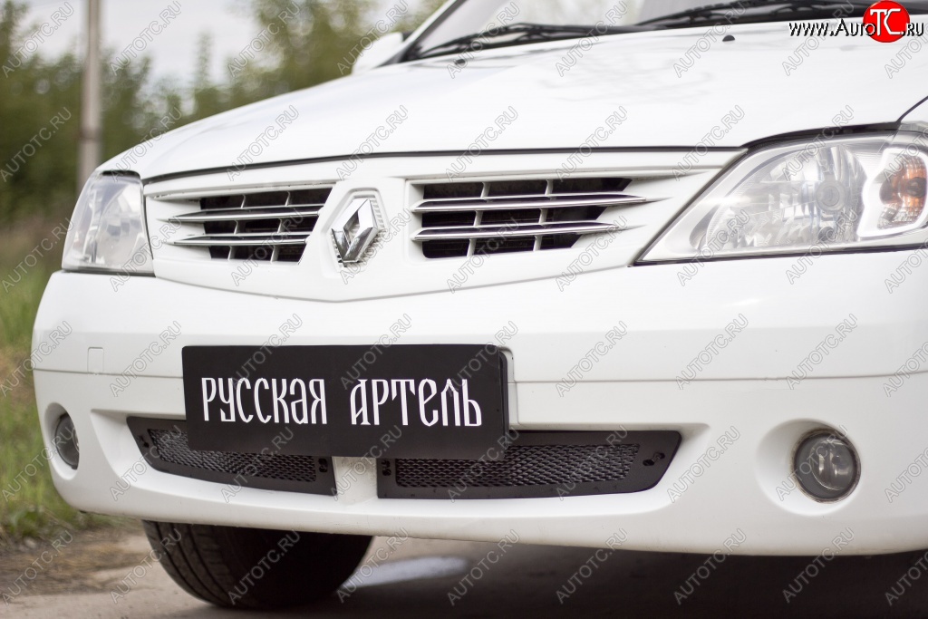 1 799 р. Защитная сетка решетки переднего бампера РА Renault Logan 1 дорестайлинг (2004-2010)  с доставкой в г. Новочеркасск