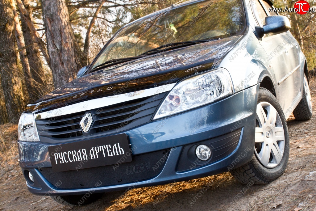 969 р. Защитная сетка решетки переднего бампера РА  Renault Logan  1 (2010-2016) рестайлинг  с доставкой в г. Новочеркасск