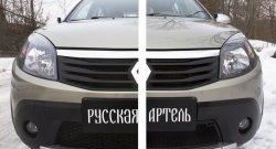 2 149 р. Защитная сетка решетки переднего бампера РА Renault Sandero Stepway (BS) (2010-2014)  с доставкой в г. Новочеркасск. Увеличить фотографию 2