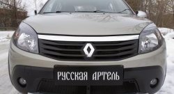 2 149 р. Защитная сетка решетки переднего бампера РА Renault Sandero Stepway (BS) (2010-2014)  с доставкой в г. Новочеркасск. Увеличить фотографию 3