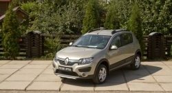 4 699 р. Молдинги дверей RA (комплект) Renault Sandero (B8) дорестайлинг (2014-2018) (Поверхность глянец (под окраску), Неокрашенные)  с доставкой в г. Новочеркасск. Увеличить фотографию 2