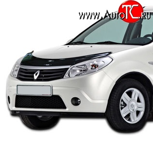 2 699 р. Дефлектор капота NovLine Renault Sandero Stepway (BS) (2010-2014)  с доставкой в г. Новочеркасск