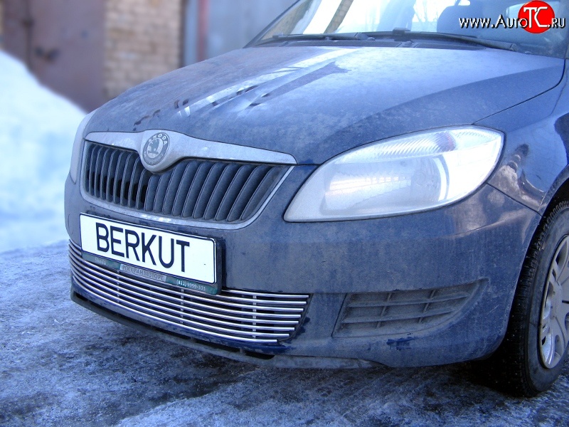 5 899 р. Декоративная вставка воздухозаборника Berkut Skoda Fabia Mk2 универсал дорестайлинг (2007-2010)  с доставкой в г. Новочеркасск