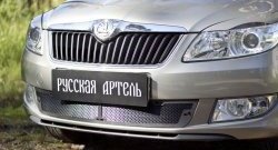 1 999 р. Защитная сетка решетки переднего бампера РА Skoda Fabia Mk2 универсал рестайлинг (2010-2014)  с доставкой в г. Новочеркасск. Увеличить фотографию 1