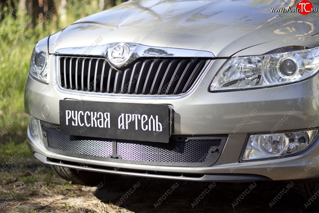 1 999 р. Защитная сетка решетки переднего бампера РА  Skoda Fabia  Mk2 (2010-2014) универсал рестайлинг, хэтчбэк рестайлинг  с доставкой в г. Новочеркасск