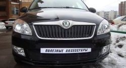 1 469 р. Сетка на бампер (рестайлинг) Russtal (черная) Skoda Fabia Mk2 хэтчбэк дорестайлинг (2007-2010)  с доставкой в г. Новочеркасск. Увеличить фотографию 3