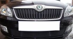 1 469 р. Сетка на бампер (рестайлинг) Russtal (черная) Skoda Fabia Mk2 хэтчбэк дорестайлинг (2007-2010)  с доставкой в г. Новочеркасск. Увеличить фотографию 4