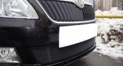 Сетка на бампер (рестайлинг) Russtal (черная) Skoda Fabia Mk2 хэтчбэк дорестайлинг (2007-2010)