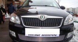 1 539 р. Сетка на бампер (рестайлинг) Russtal (хром) Skoda Fabia Mk2 универсал дорестайлинг (2007-2010)  с доставкой в г. Новочеркасск. Увеличить фотографию 2