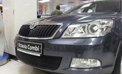 1 469 р. Сетка на бампер Russtal (черная) Skoda Octavia A5 рестайлинг универсал (2008-2013)  с доставкой в г. Новочеркасск. Увеличить фотографию 2