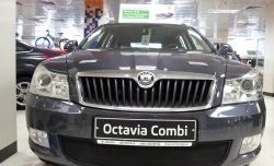 1 469 р. Сетка на бампер Russtal (черная) Skoda Octavia A5 рестайлинг универсал (2008-2013)  с доставкой в г. Новочеркасск. Увеличить фотографию 3