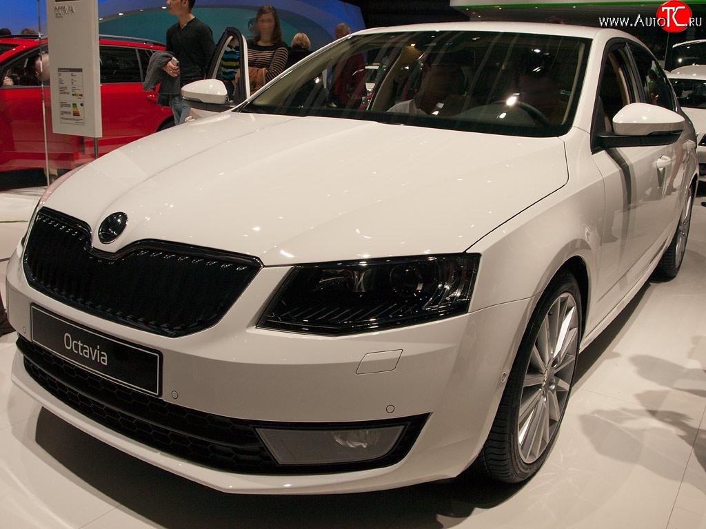 2 569 р. Сетка (для комплектации Ambition, Elegance) на бампер Russtal (черная) Skoda Octavia A7 дорестайлинг универсал (2012-2017)  с доставкой в г. Новочеркасск