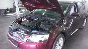 2 049 р. Упоры капота Russtal  Skoda Octavia  A7 (2012-2020) дорестайлинг лифтбэк, дорестайлинг универсал, рестайлинг лифтбэк, рестайлинг универсал  с доставкой в г. Новочеркасск. Увеличить фотографию 1