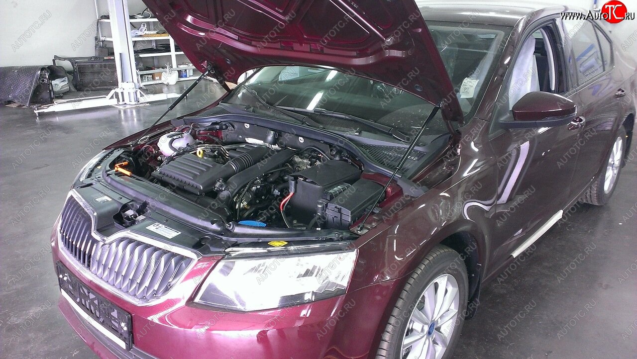 2 049 р. Упоры капота Russtal  Skoda Octavia  A7 (2012-2020) дорестайлинг лифтбэк, дорестайлинг универсал, рестайлинг лифтбэк, рестайлинг универсал  с доставкой в г. Новочеркасск