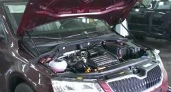 1 649 р. Газовые упоры капота Berkut  Skoda Octavia  A7 (2012-2020) дорестайлинг лифтбэк, дорестайлинг универсал, рестайлинг лифтбэк, рестайлинг универсал  с доставкой в г. Новочеркасск. Увеличить фотографию 1